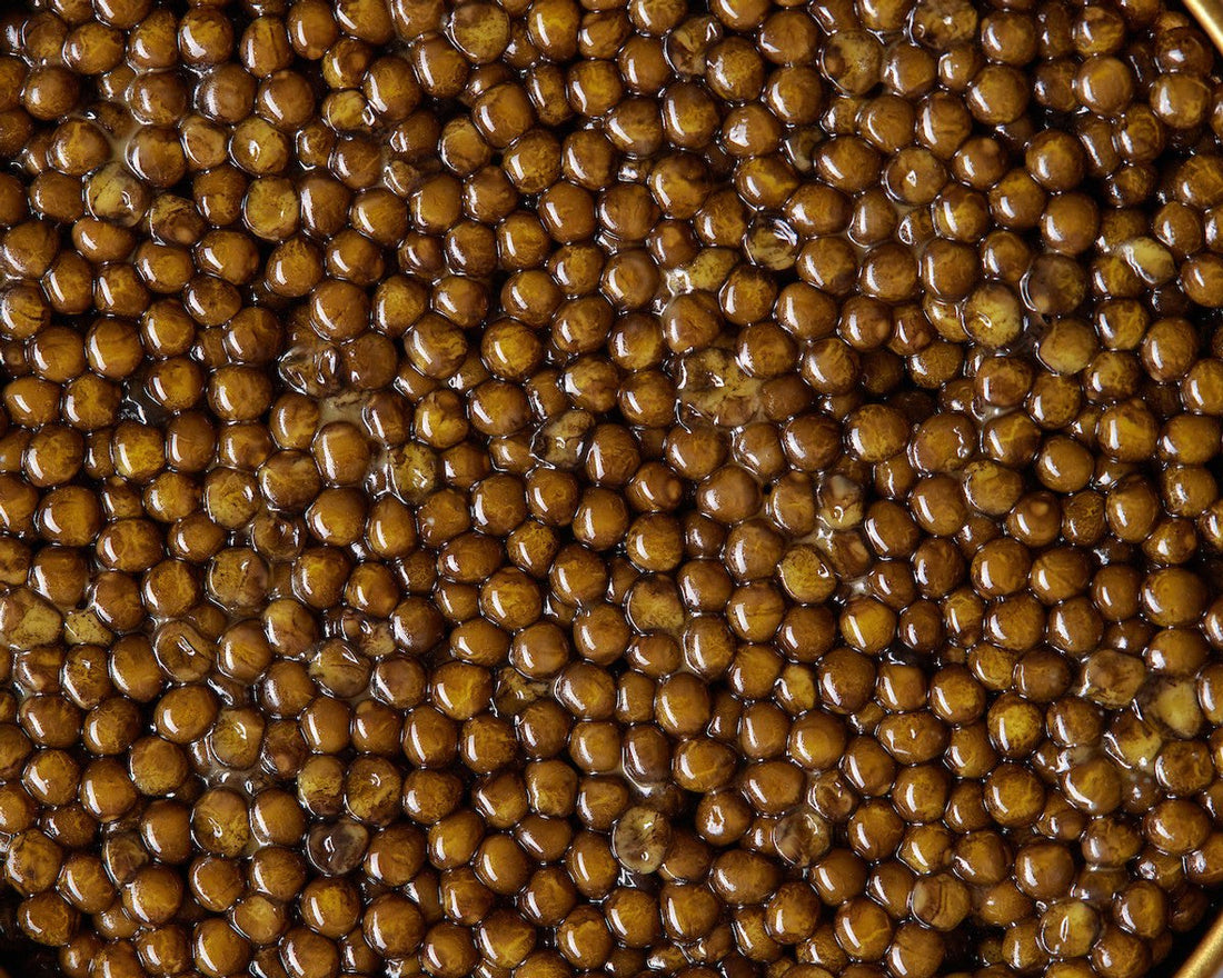 Unveiling the Mystique of Caviar: Facts & Myths